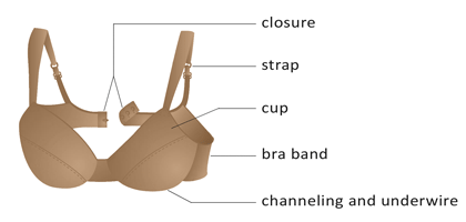 Bra anatomy and all its parts